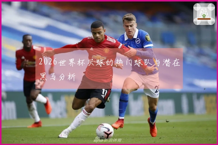 2026世界杯买球的热门球队与潜在黑马分析