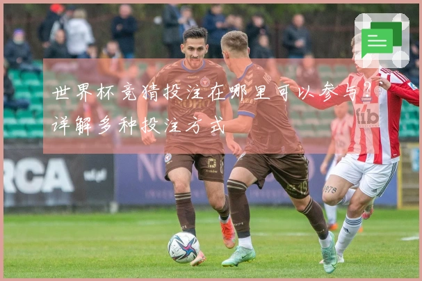 世界杯竞猜投注在哪里可以参与？详解多种投注方式