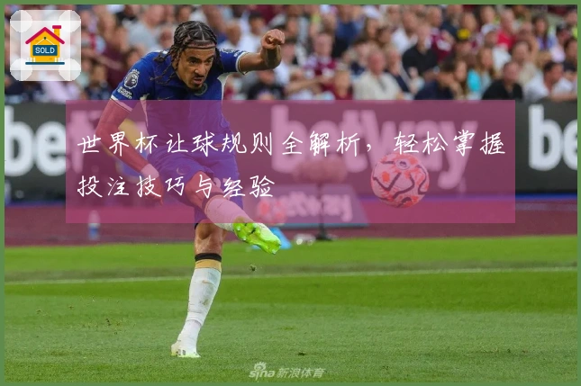 世界杯让球规则全解析，轻松掌握投注技巧与经验