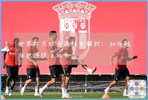 世界杯买球竞猜赔率解析：如何精准把握投注机会