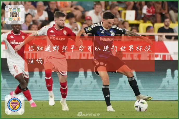 你知道哪些平台可以进行世界杯投注吗