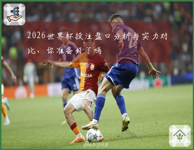 2026世界杯投注盘口分析与实力对比，你准备好了吗