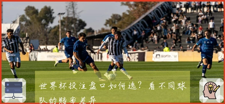 世界杯投注盘口如何选？看不同球队的赔率差异
