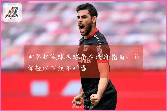 世界杯滚球买球平台选择指南，让你轻松下注不踩雷