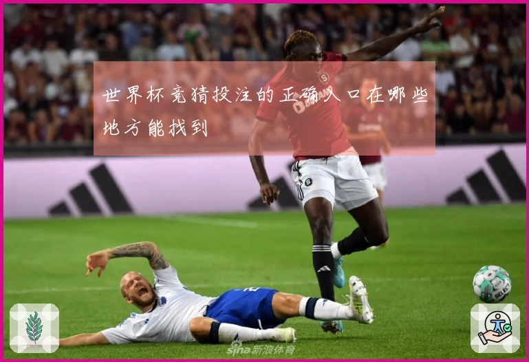 世界杯竞猜投注的正确入口在哪些地方能找到