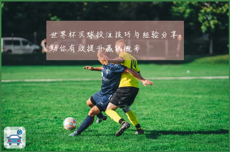 世界杯买球投注技巧与经验分享，助你有效提升赢钱概率