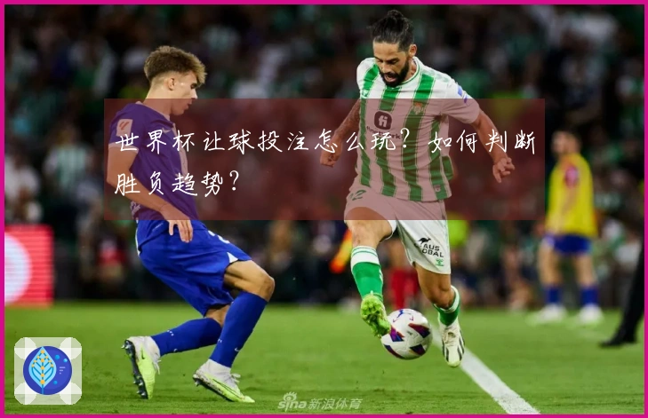 世界杯让球投注怎么玩？如何判断胜负趋势？
