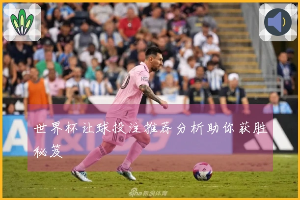世界杯让球投注推荐分析助你获胜秘笈