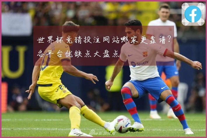 世界杯竞猜投注网站哪家更靠谱？各平台优缺点大盘点