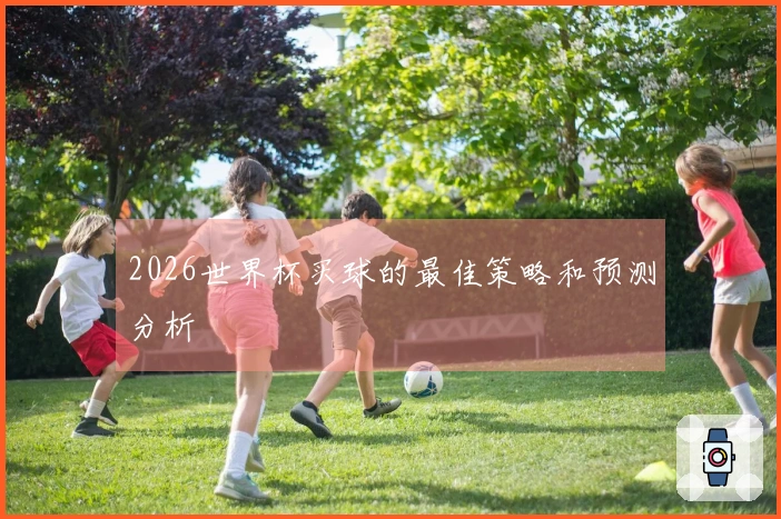2026世界杯买球的最佳策略和预测分析