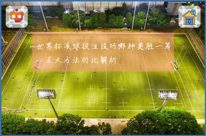 世界杯滚球投注技巧哪种更胜一筹，五大方法对比解析