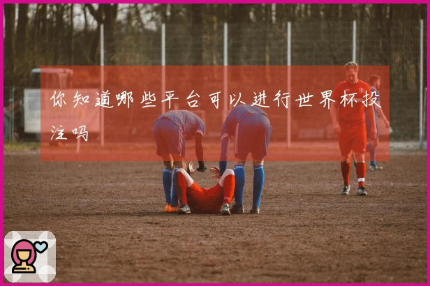你知道哪些平台可以进行世界杯投注吗