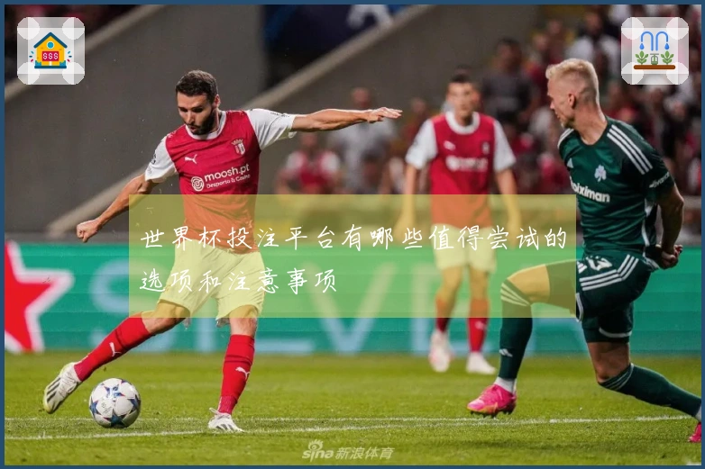 世界杯投注平台有哪些值得尝试的选项和注意事项