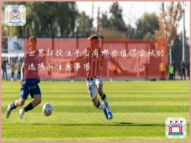 世界杯投注平台有哪些值得尝试的选项和注意事项