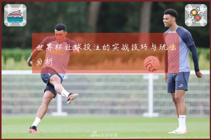 世界杯让球投注的实战技巧与玩法分析
