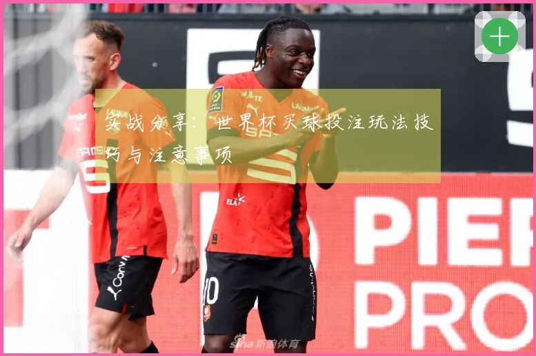 实战分享：世界杯买球投注玩法技巧与注意事项