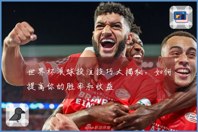 世界杯滚球投注技巧大揭秘，如何提高你的胜率和收益